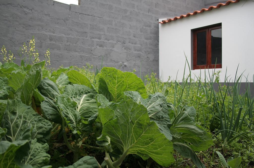 Casa Azul Natura Ponta Delgada Exteriör bild
